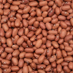 Alubia canela artesana 5kg